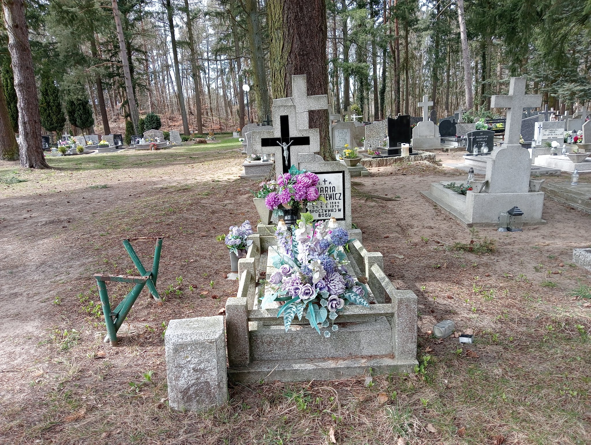 Grób Maria Maciejewicz